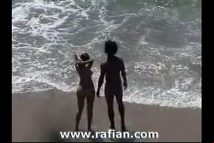 African and milky nymphs sunbathing on